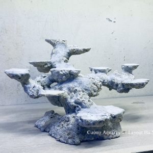MÃ 38 - LAYOUT CÁ BIỂN BỂ 40CM - ROYALAQUA