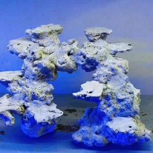 MÃ 47 - LAYOUT CÁ BIỂN BỂ 40CM - ROYALAQUA