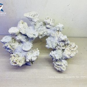 MÃ 41 - LAYOUT CÁ BIỂN BỂ 40CM - ROYALAQUA