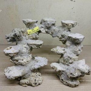 MÃ 59 - LAYOUT CÁ BIỂN BỂ 40CM - ROYALAQUA