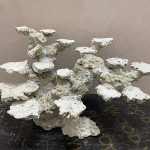 MÃ 243 - LAYOUT CÁ CẢNH BIỂN BỂ 50CM - ROYALAQUA