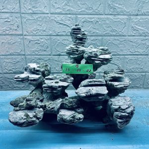 MÃ 285 - LAYOUT CÁ CẢNH BIỂN BỂ 40CM - ROYALAQUA