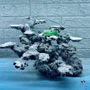 MÃ 287 - LAYOUT CÁ CẢNH BIỂN BỂ 50CM - ROYALAQUA