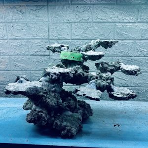 MÃ 288 - LAYOUT CÁ CẢNH BIỂN BỂ 50CM - ROYALAQUA