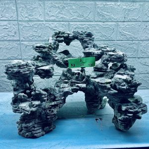 MÃ 289 - LAYOUT CÁ CẢNH BIỂN BỂ 50CM - ROYALAQUA