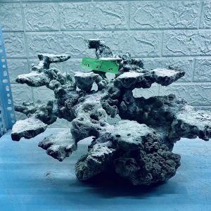 MÃ 290 - LAYOUT CÁ BIỂN BỂ 50CM - ROYALAQUA