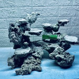 MÃ 291 - LAYOUT CÁ CẢNH BIỂN BỂ 50CM - ROYALAQUA