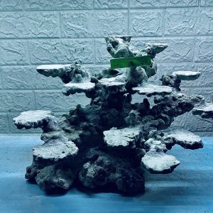 MÃ 292 - LAYOUT CÁ CẢNH BIỂN BỂ 50CM - ROYALAQUA