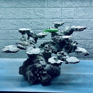 MÃ 293 - LAYOUT CÁ CẢNH BIỂN BỂ 50CM - ROYALAQUA