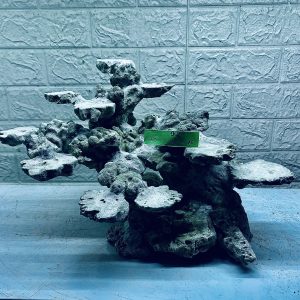 MÃ 294 - LAYOUT CÁ CẢNH BIỂN BỂ 50CM - ROYALAQUA