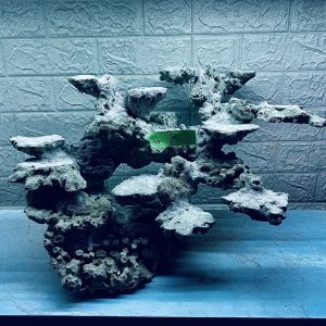 MÃ 295 - LAYOUT CÁ CẢNH BIỂN BỂ 50CM - ROYALAQUA