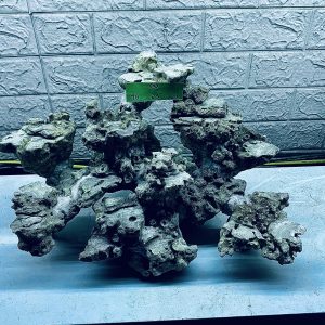 MÃ 305 - LAYOUT CÁ CẢNH BIỂN BỂ 50CM - ROYALAQUA