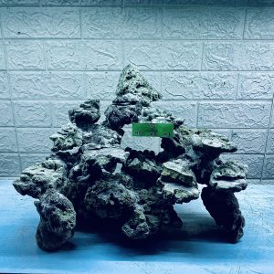 MÃ 307 - LAYOUT CÁ CẢNH BIỂN BỂ 50CM - ROYALALQUA