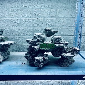 MÃ 309 - LAYOUT CÁ BIỂN BỂ 30CM - ROYALAQUA