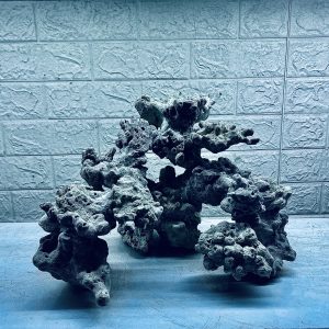 MÃ 310 - LAYOUT CÁ CẢNH BIỂN BỂ 50CM - ROYALAQUA