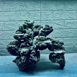 MÃ 325 - LAYOUT CÁ BIỂN BỂ 50CM - ROYALAQUA