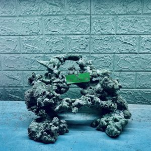 MÃ 326 - LAYOUT CÁ BIỂN BỂ 45CM - ROYALAQUA