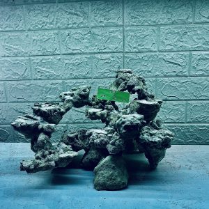 MÃ 327 - LAYOUT CÁ BIỂN BỂ 45CM - ROYALAQUA