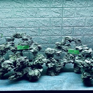 MÃ 341 - LAYOUT CÁ BIỂN BỂ 110CM - ROYALAQUA