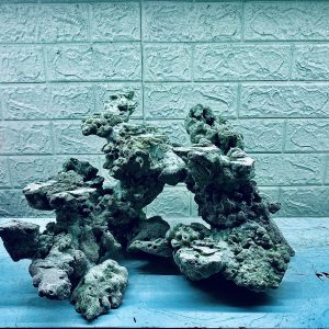 MÃ 354 - LAYOUT CÁ BIỂN BỂ 45CM - ROYALAQUA