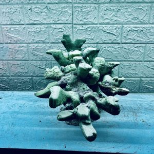 MÃ 355 - LAYOUT CÁ BIỂN BỂ 3 MẶT 50x40x40CM - ROYALAQUA