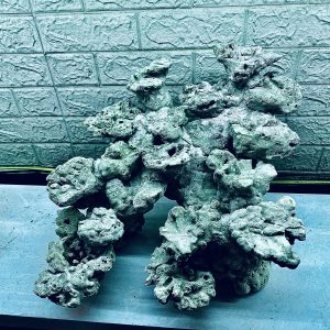 MÃ 378 - LAYOUT CÁ BIỂN BỂ CUBIC 50CM - ROYALAQUA