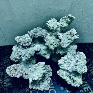 MÃ 255 - LAYOUT CÁ CẢNH BIỂN BỂ 40CM - ROYALAQUA