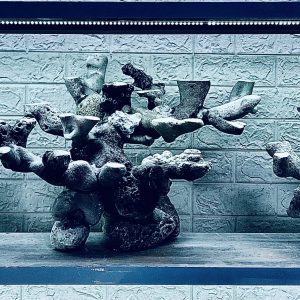 MÃ 430 – LAYOUT CÁ CẢNH BIỂN BỂ 150CM – CƯỜNG AQUARIUM