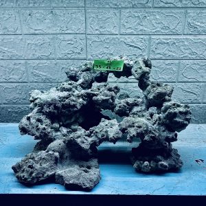 MÃ 273 - LAYOUT CÁ CẢNH BIỂN BỂ 40CM - ROYALAQUA