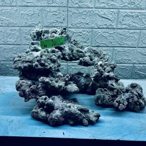 MÃ 279 - LAYOUT CÁ CẢNH BIỂN BỂ 50CM - ROYALAQUA