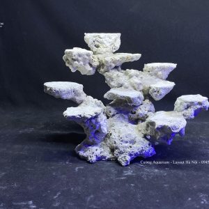 MÃ 134 - LAYOUT CÁ CẢNH BIỂN BỂ 35CM - ROYALAQUA