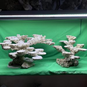 MÃ 66 - LAYOUT CÁ BIỂN BỂ 90CM - ROYALAQUA