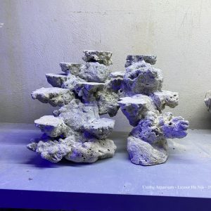 MÃ 138 - LAYOUT CÁ BIỂN BỂ 40CM - ROYALAQUA