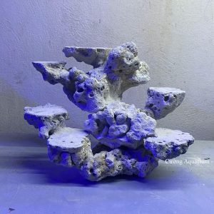 MÃ 145 - LAYOUT CÁ BIỂN BỂ 35CM - ROYALAQUA