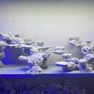 MÃ 148 - LAYOUT CÁ BIỂN BỂ 90 - 120CM - ROYALAQUA