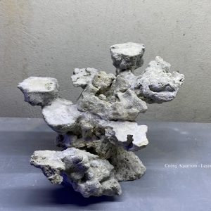 MÃ 159 - LAYOUT CÁ BIỂN BỂ 30CM - ROYALAQUA