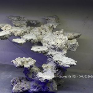 MÃ 192 - LAYOUT CÁ BIỂN BỂ 40CM - ROYALAQUA