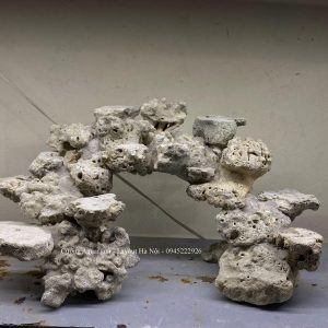 MÃ 208 - LAYOUT CÁ BIỂN BỂ CUBIC 45 LỌC VÁCH - ROYALAQUA