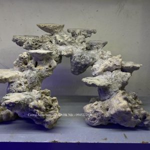 MÃ 209 - LAYOUT CÁ BIỂN BỂ 50x40x40CM - ROYALAQUA