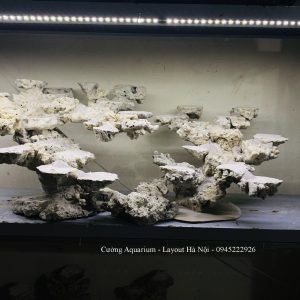 MÃ 213 - LAYOUT CÁ BIỂN BỂ 90x70x55CM - ROYALAQUA