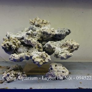 MÃ 223- LAYOUT CÁ BIỂN BỂ 40CM - ROYALAQUA
