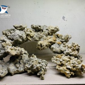 MÃ 230 - LAYOUT CÁ BIỂN BỂ 50CM - ROYALAQUA