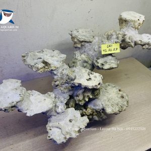 MÃ 236 - LAYOUT CÁ BIỂN BỂ 60CM - ROYALAQUA