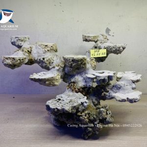 MÃ 238 - LAYOUT CÁ BIỂN BỂ 50CM - ROYALAQUA