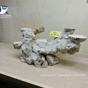 MÃ 240 - LAYOUT CÁ BIỂN BỂ 50CM - ROYALAQUA