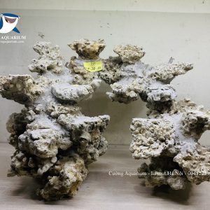 MÃ 233 - LAYOUT CẤCNHR BIỂN BỂ 40CM - ROYALAQUA