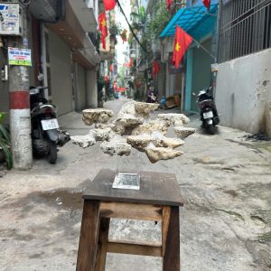 Mã 495 - Layout Đá Biển Bay Bể 50 Đẹp Và Hiện Đại