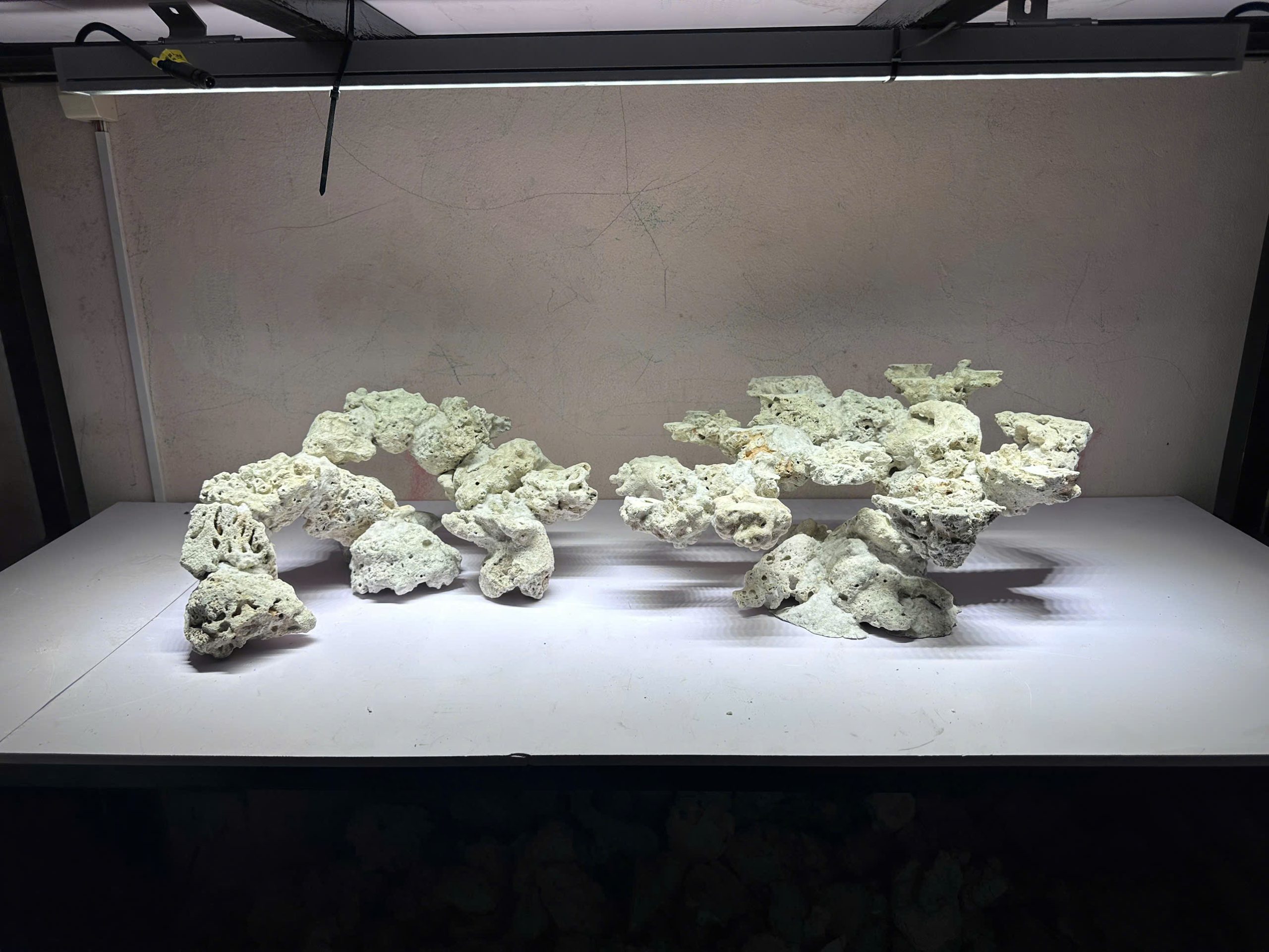Mã 508 -Layout đá biển tự nhiên bể 120 2 khối vòng cung xanh rêu đẳng cấp reef