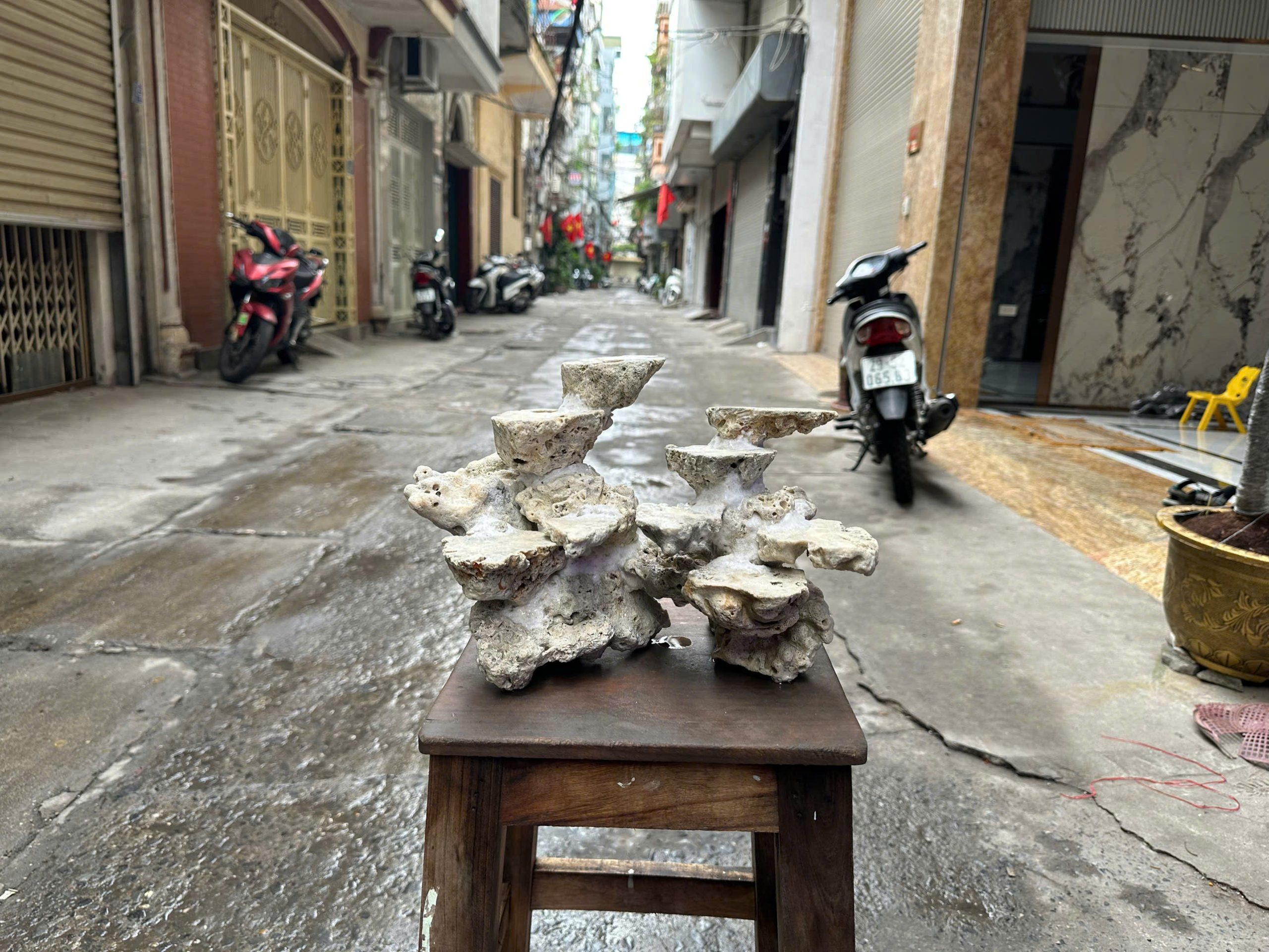 Mã 525 - Layout đá biển cắt bể 50cm đẹp tối ưu không gian reef