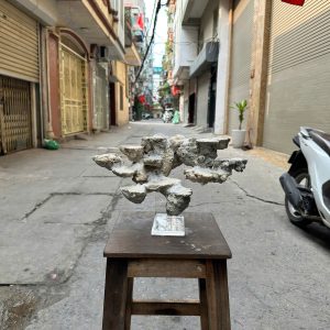 Mã 528 - Layout đá biển bay cắt bể 45cm tối ưu không gian reef mini